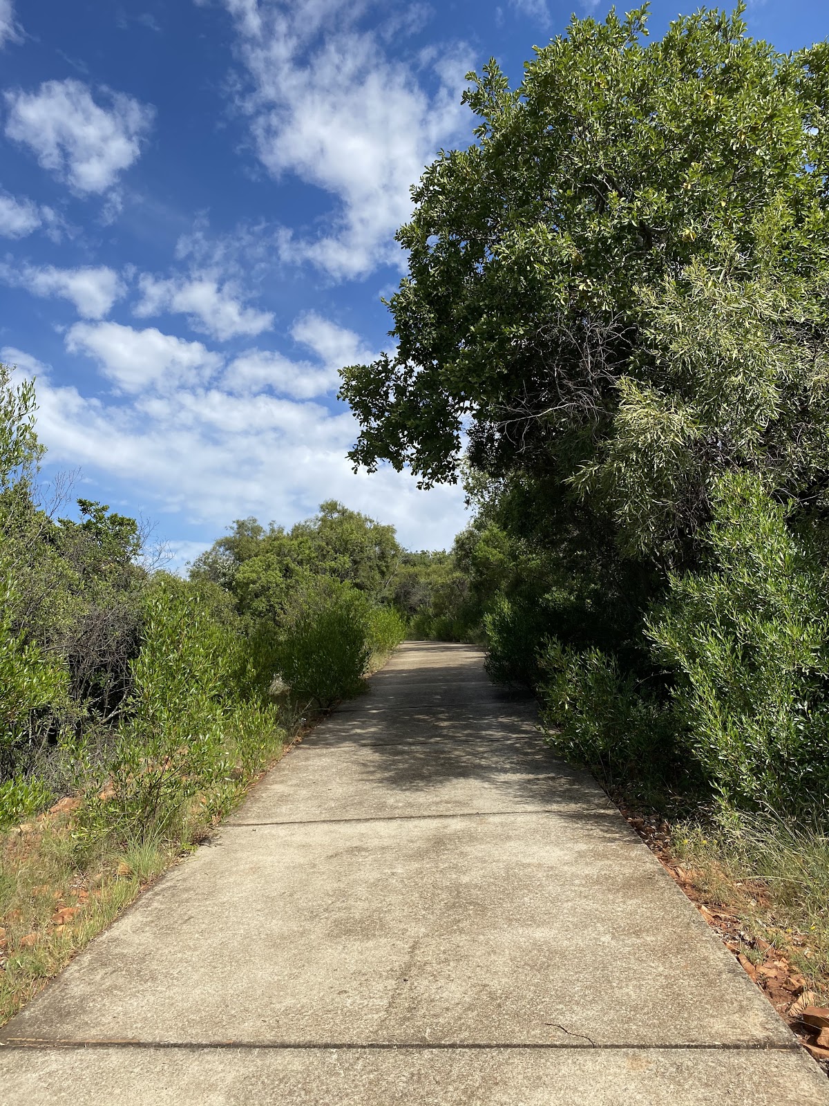 Wonderboom Nature Reserve & Fort — photo 4