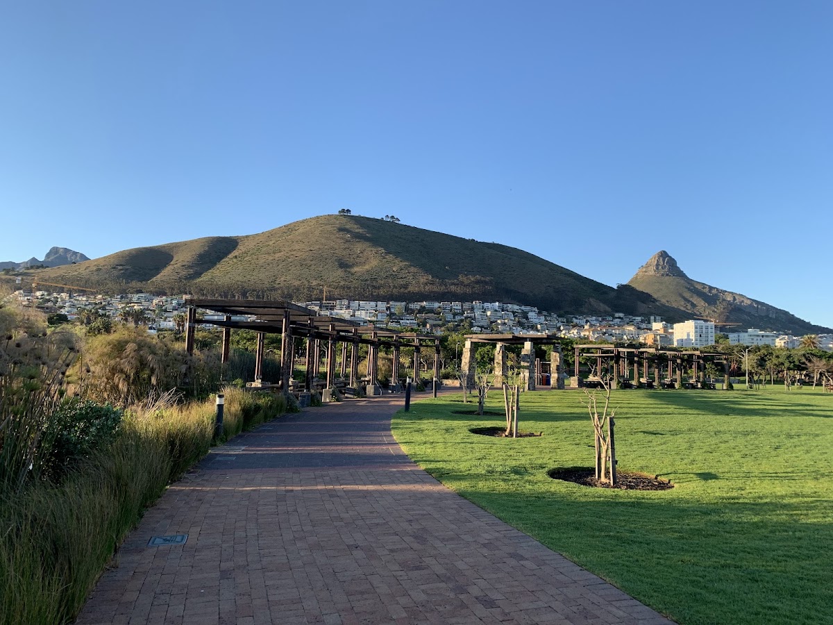 Green Point Urban Park — photo 6