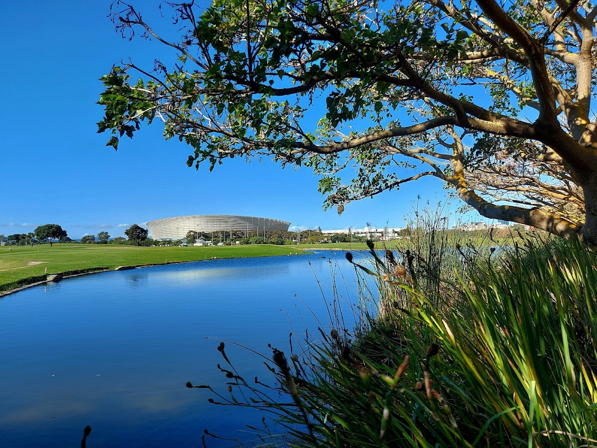 Green Point Urban Park — photo 7