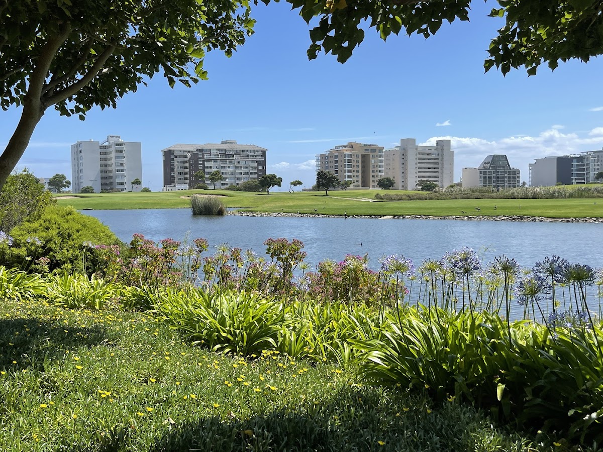 Green Point Urban Park — photo 8