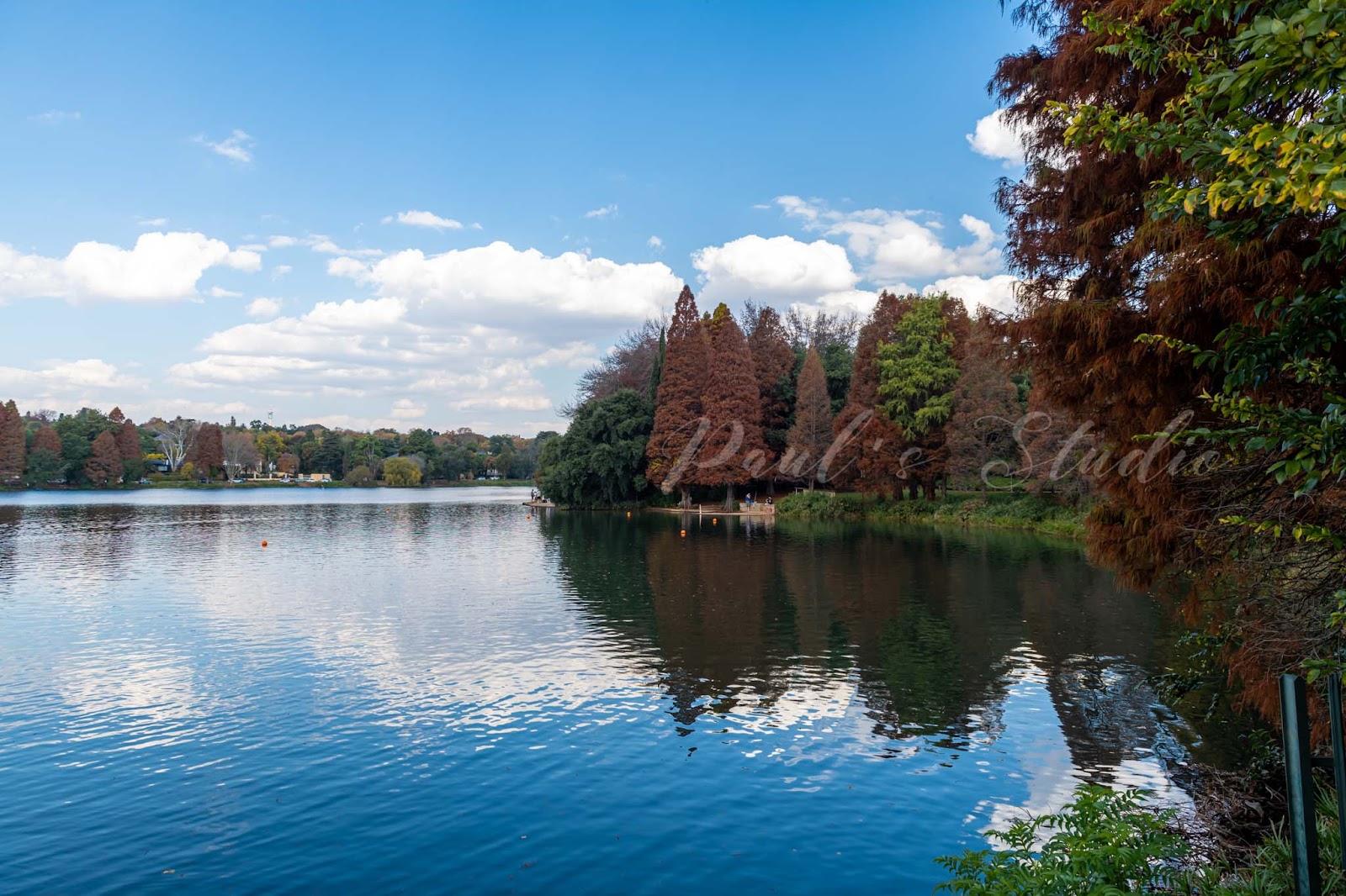 Botanical Garden & Emmarentia Dam — photo 2