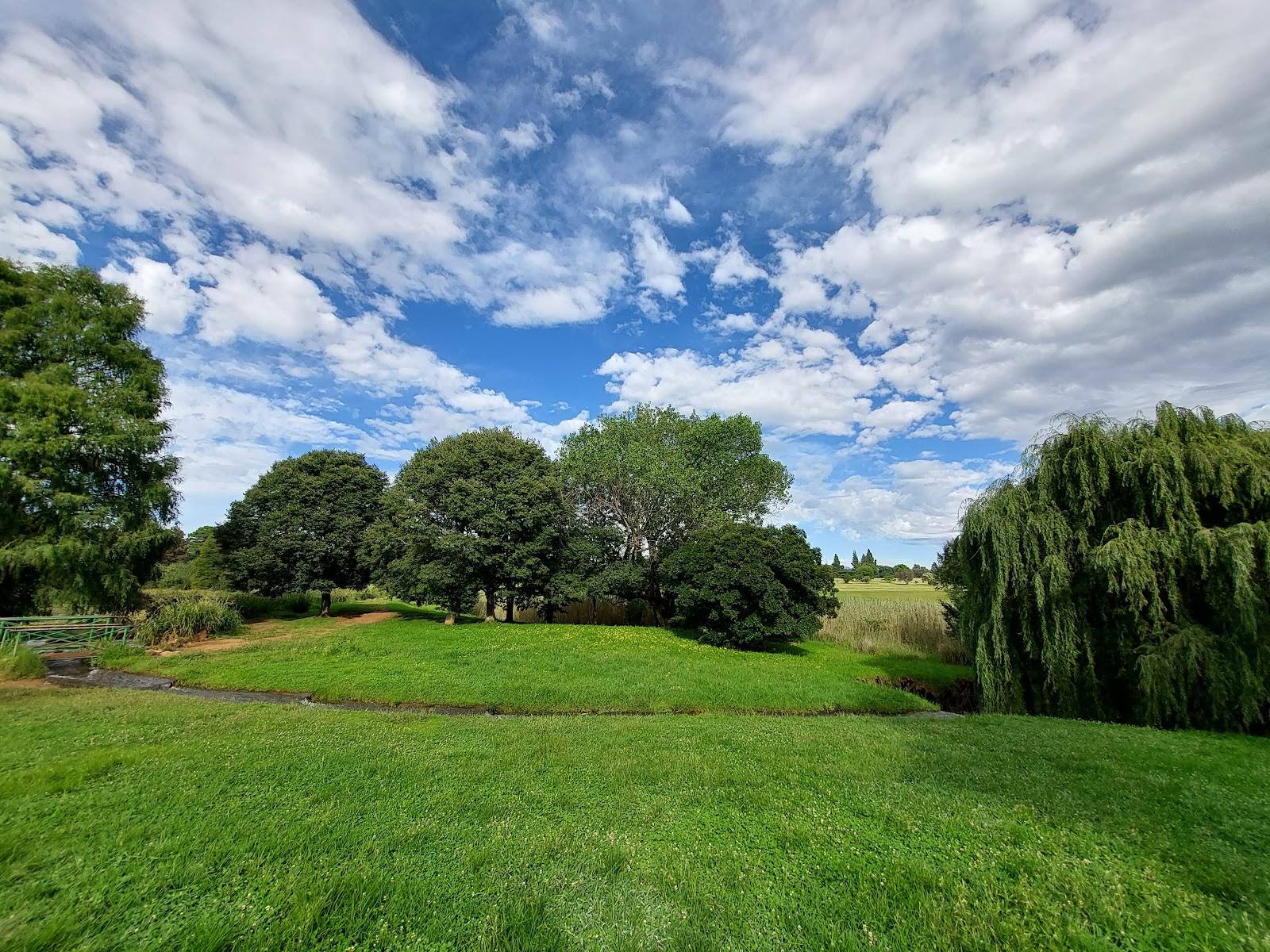Botanical Garden & Emmarentia Dam — photo 3