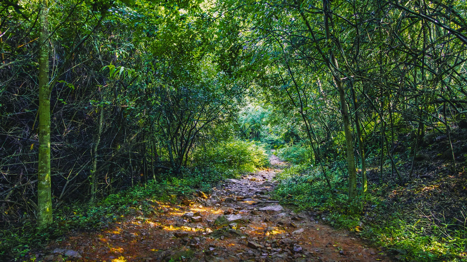 Moreleta Kloof Nature Reserve — photo 4