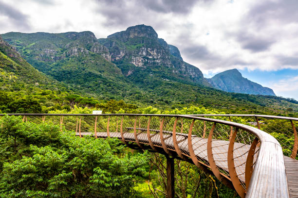 Kirstenbosch National Botanical Garden — photo 2