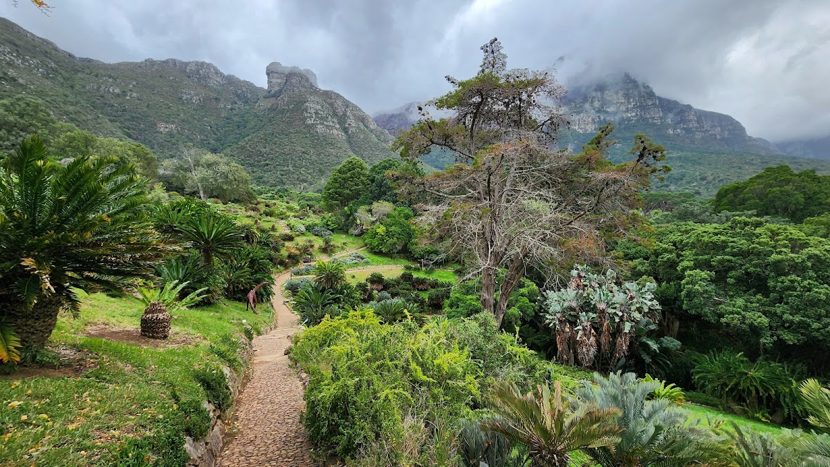 Kirstenbosch National Botanical Garden — photo 3