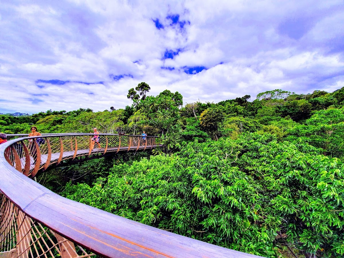 Kirstenbosch National Botanical Garden — photo 4