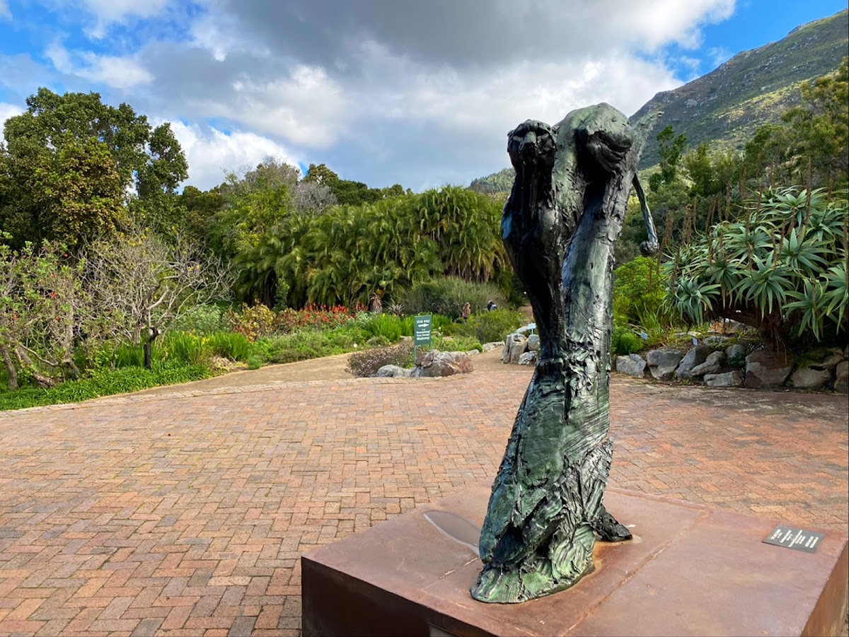Kirstenbosch National Botanical Garden — photo 5