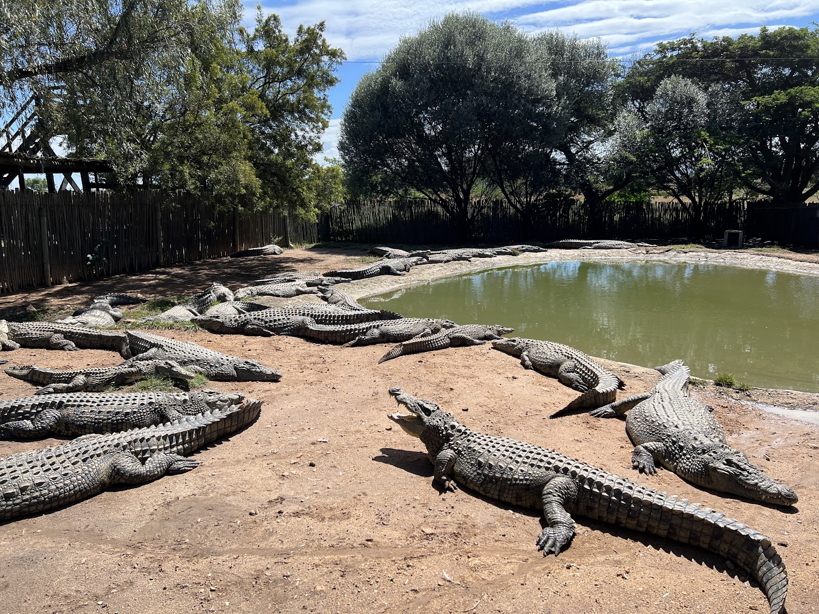 Croc City Crocodile & Reptile Park — photo 2