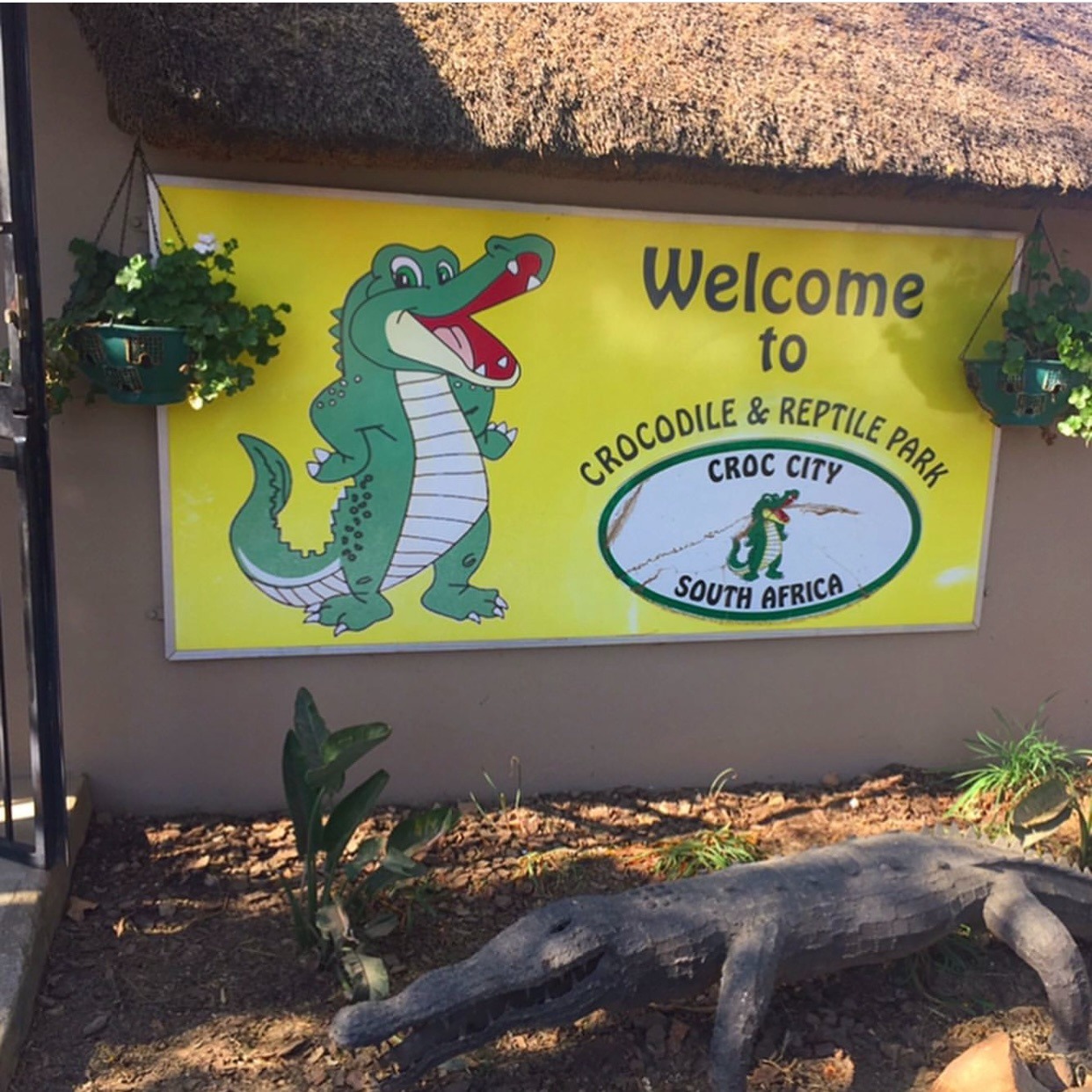 Croc City Crocodile & Reptile Park — kids activity — Chartwell — Johannesburg