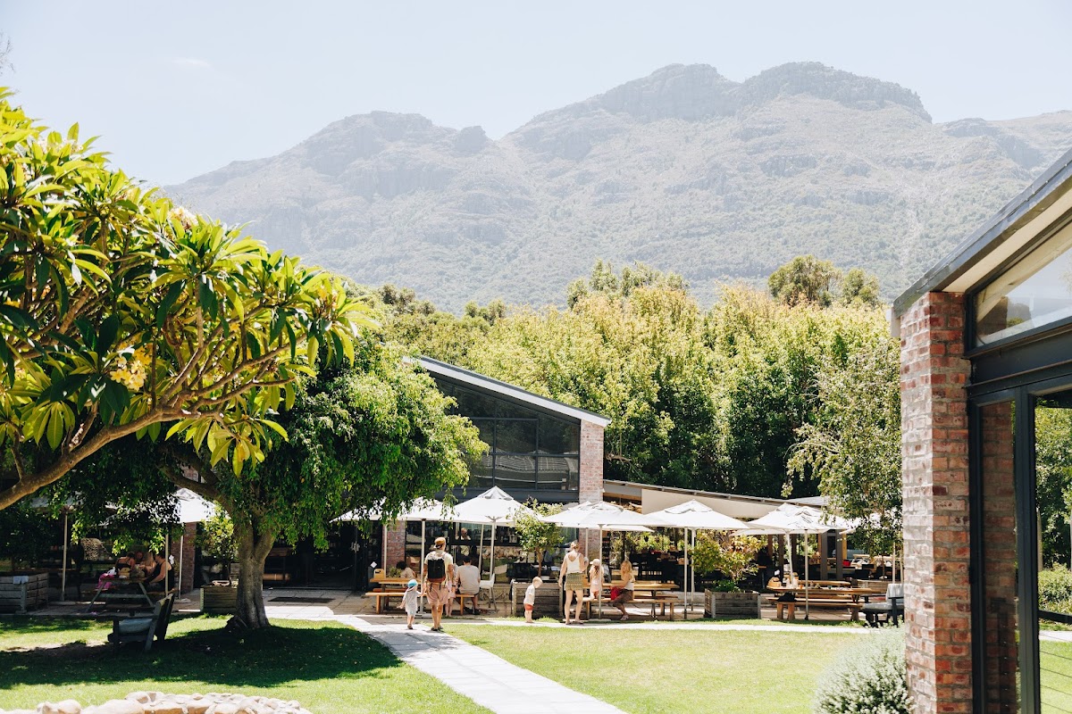 Clay Cafe – Hout Bay — photo 2