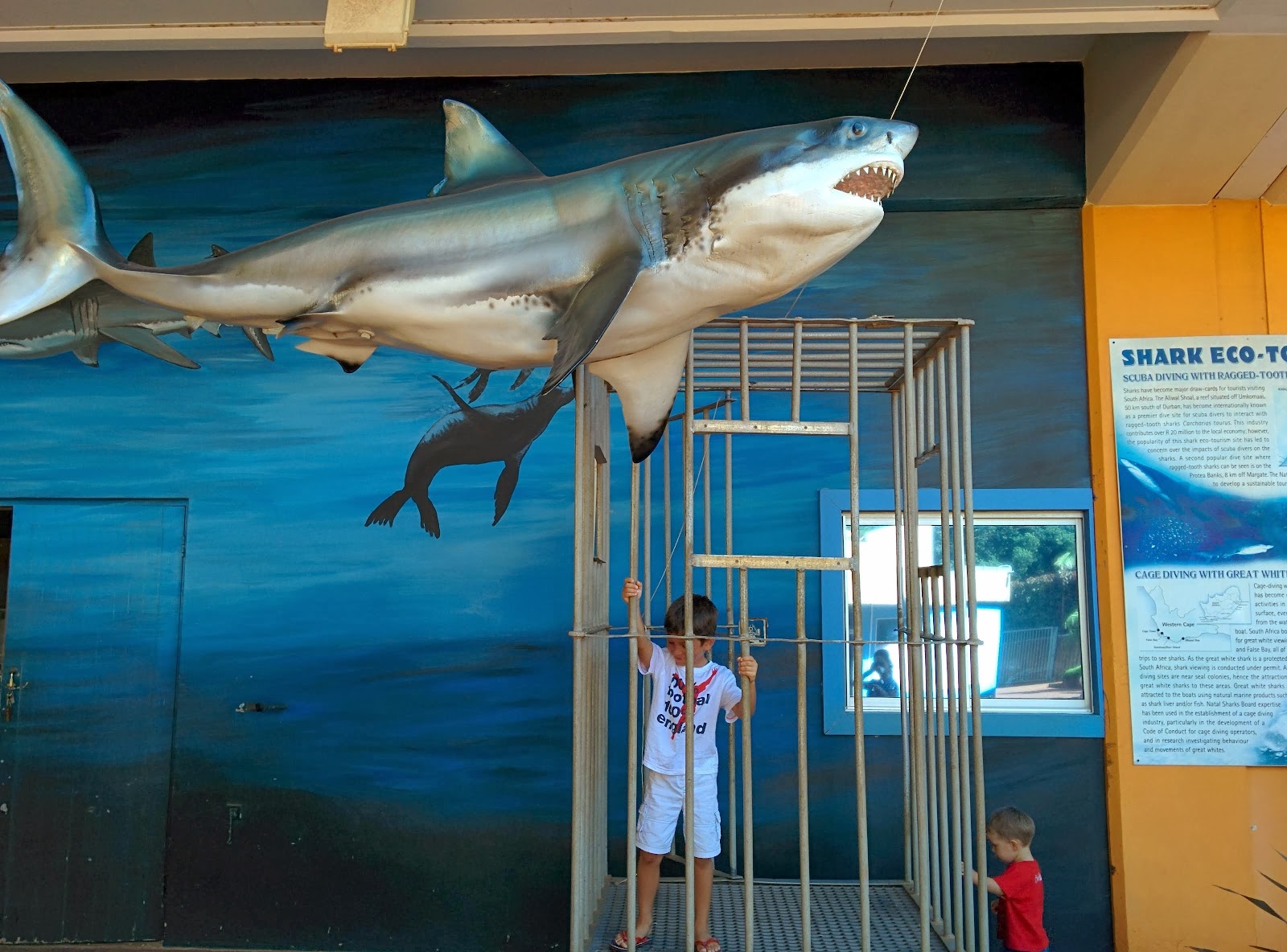 Kwazulu-Natal Sharks Board — photo 3
