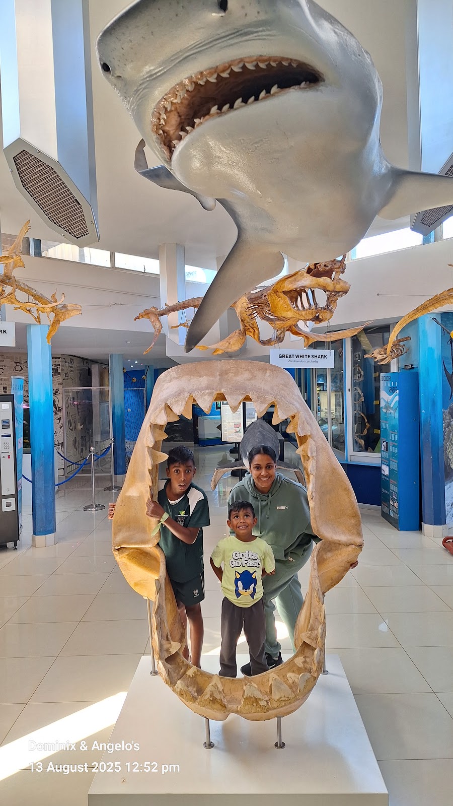 Kwazulu-Natal Sharks Board — photo 4