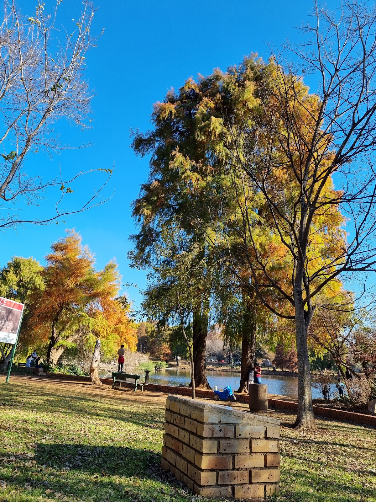 Zoo Lake — photo 4