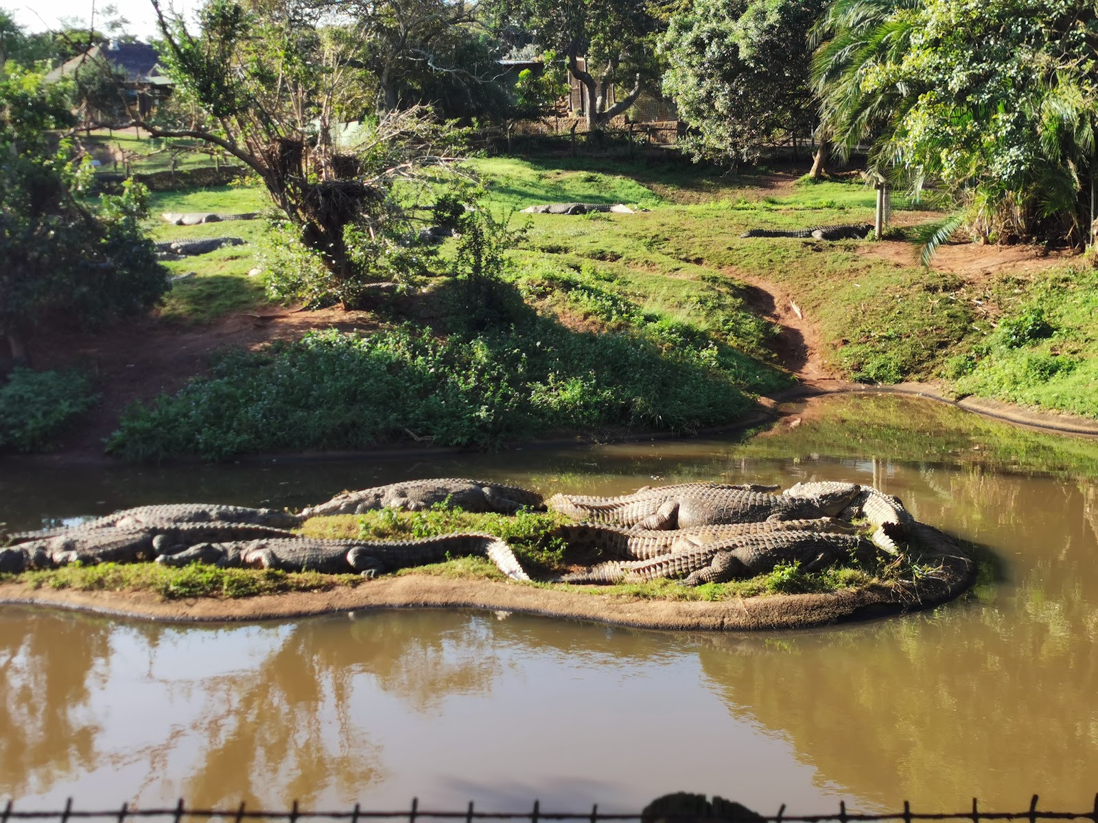 Crocworld Conservation Centre — photo 2