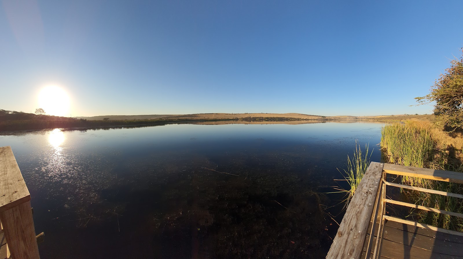 Tala Private Game Reserve — photo 4