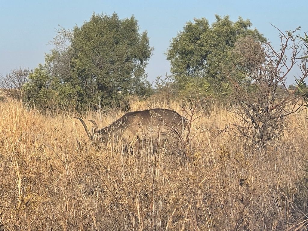 Roodeplaat Dam Nature Reserve — photo 4