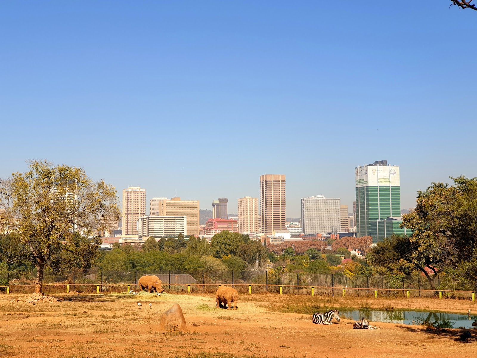 National Zoological Gardens of South Africa — photo 2