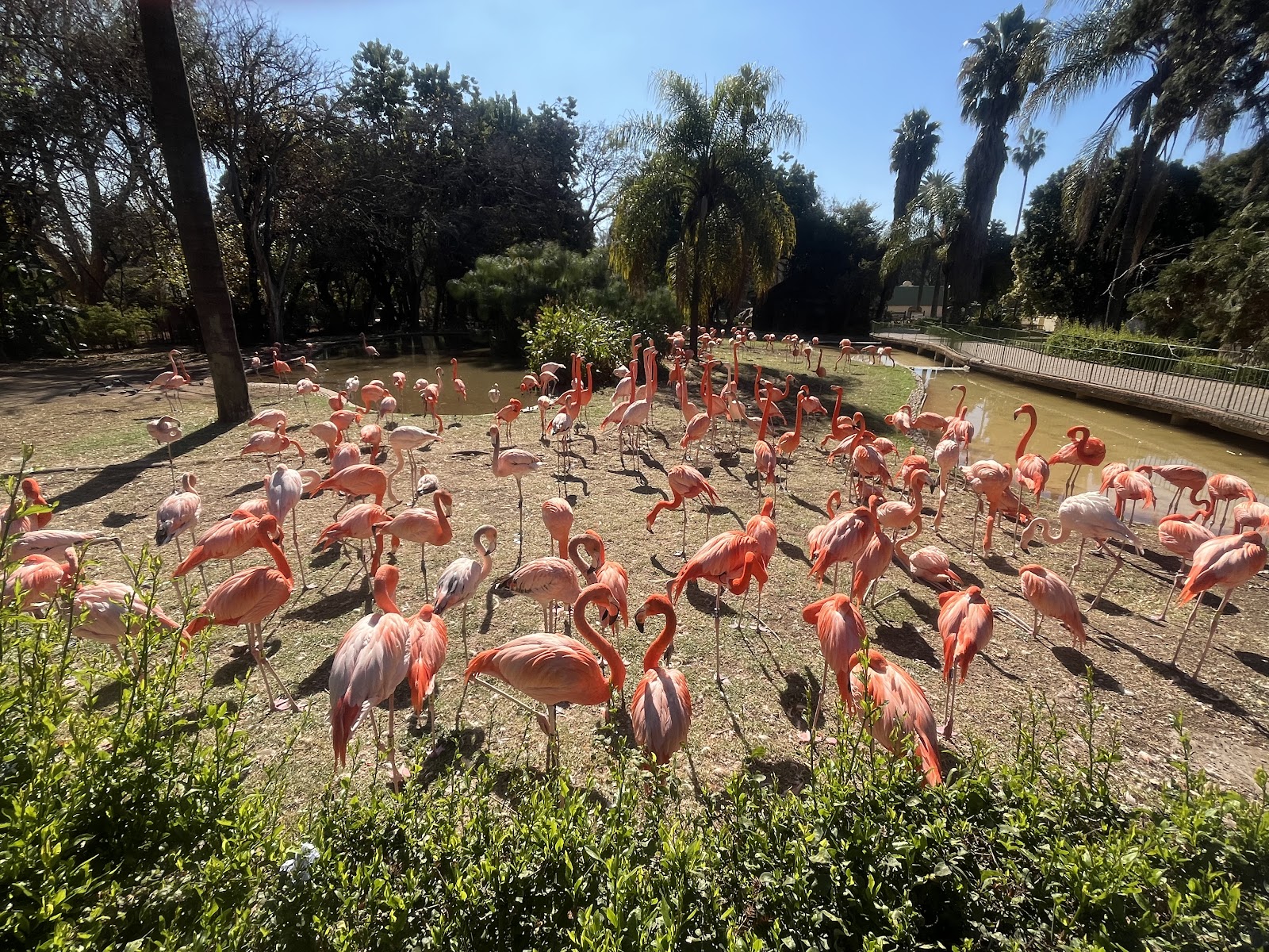 National Zoological Gardens of South Africa — photo 3